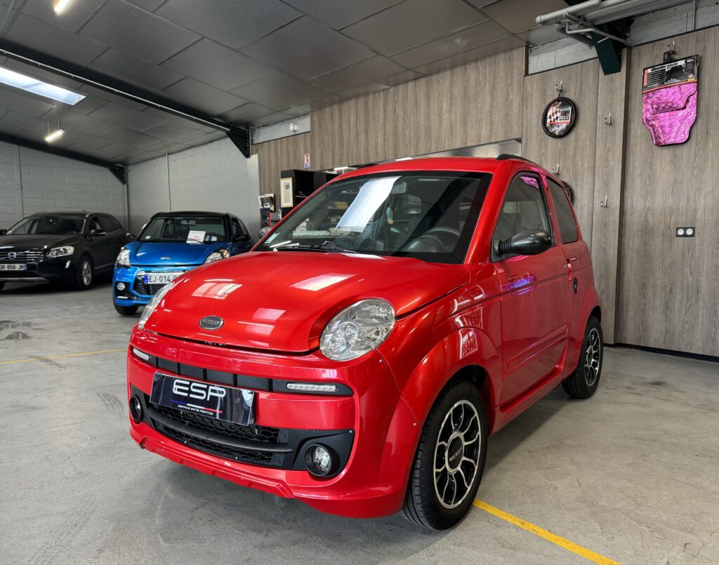 MICROCAR MGO PROGRESS