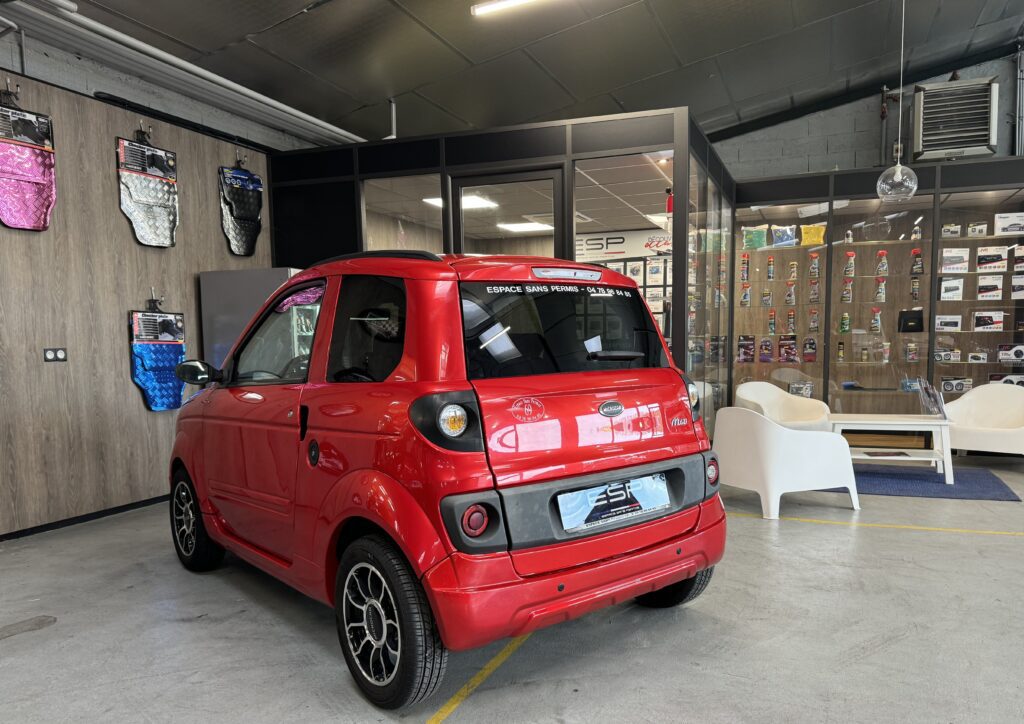 MICROCAR MGO PROGRESS