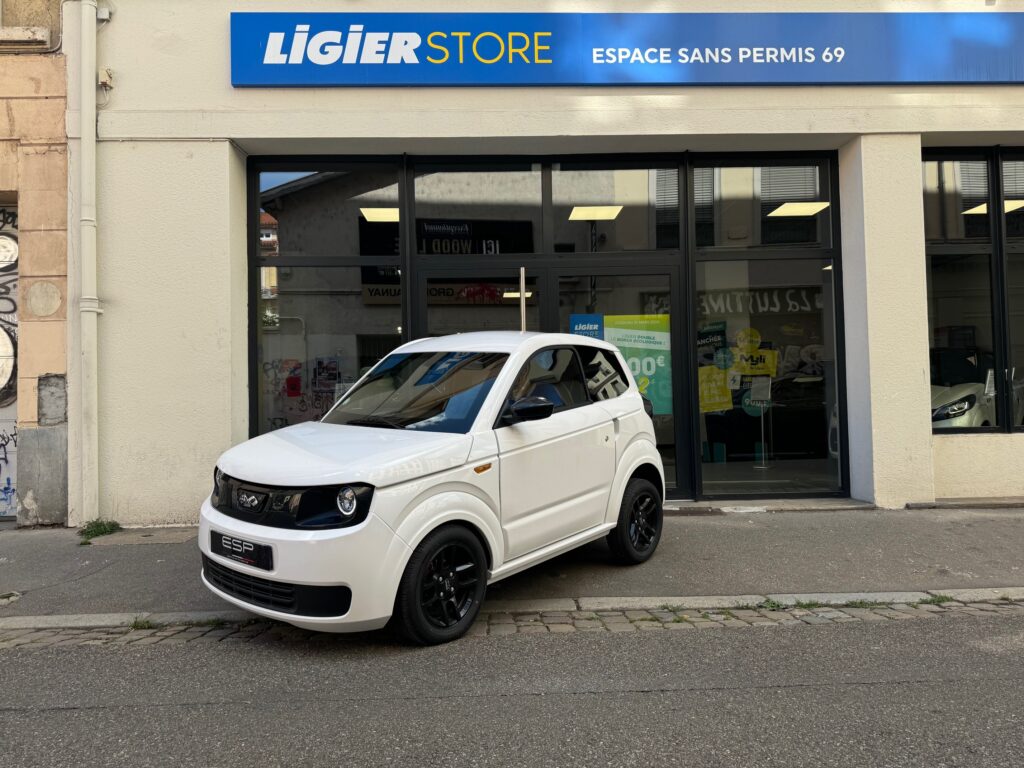 MYLI IDEAL Electrique 8KW