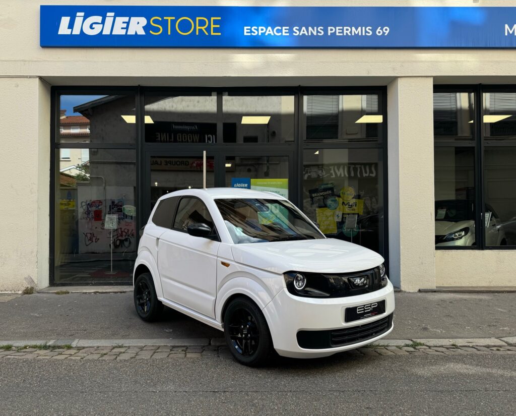 MYLI IDEAL Electrique 8KW