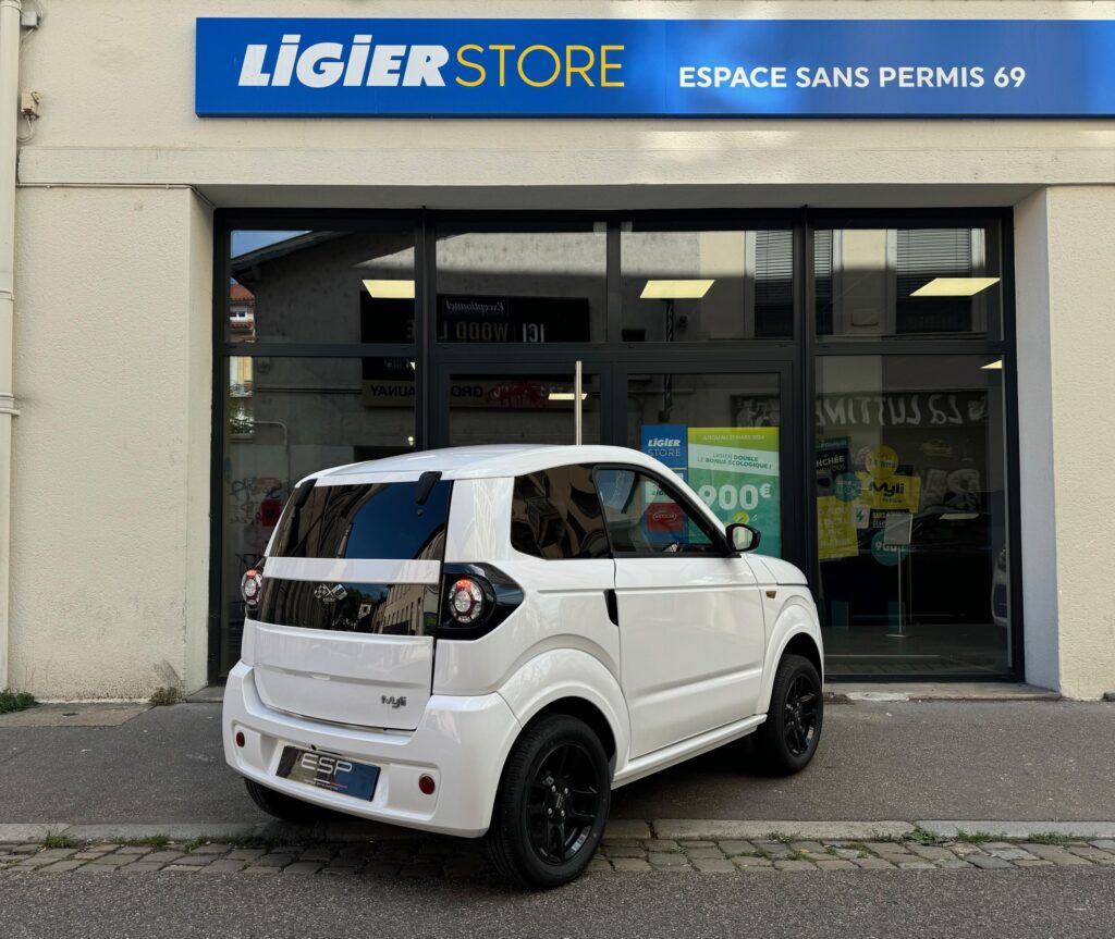 MYLI IDEAL Electrique 8KW