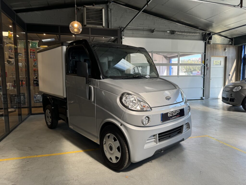 MICROCAR GARGO PROGRESS