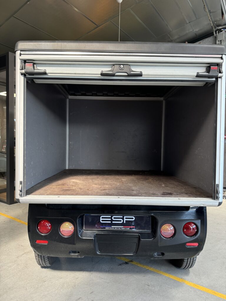 MICROCAR GARGO PROGRESS