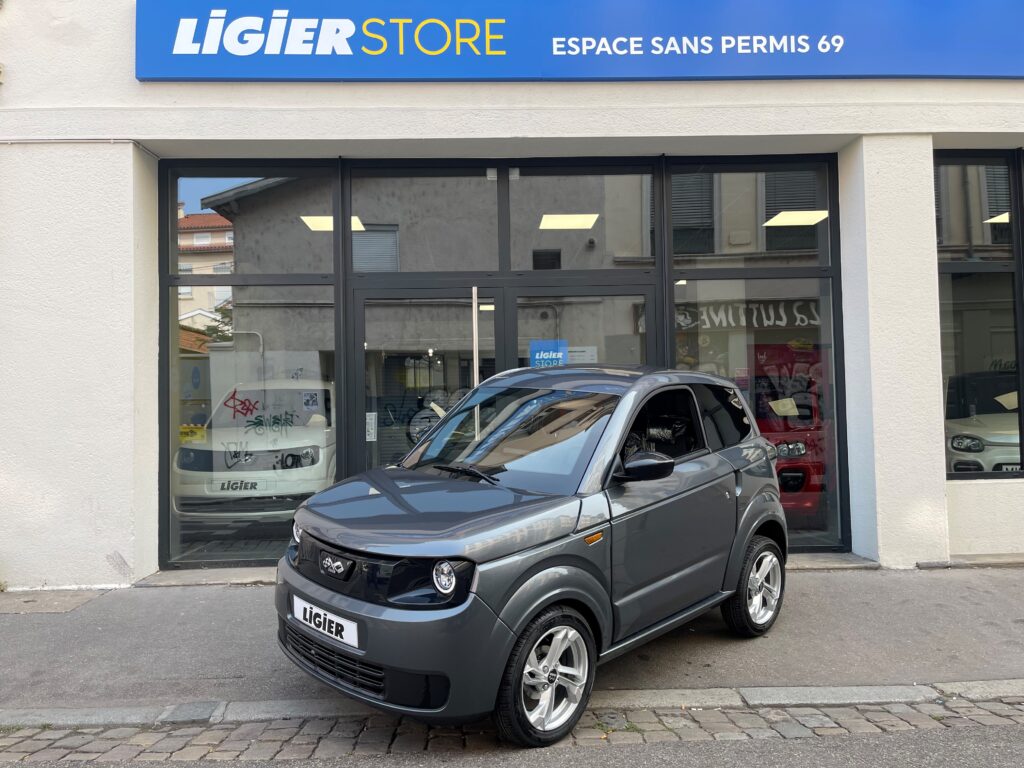 MYLI EPIC Electrique 12KW